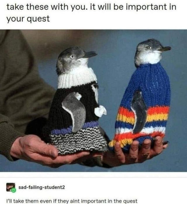 They are the perfect companions for any quest - meme