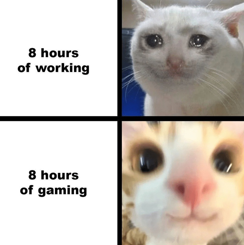8 hours working just to game for 8 hours more - meme