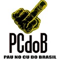 Pau no cu do brazuquil