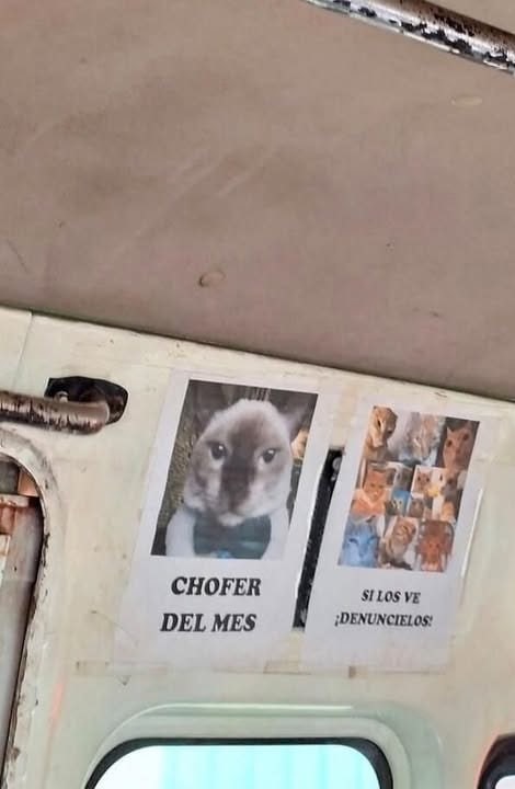 Chofer del mes - meme