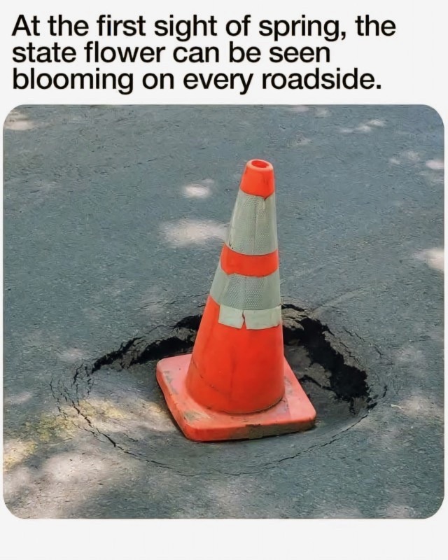 Lovely - meme