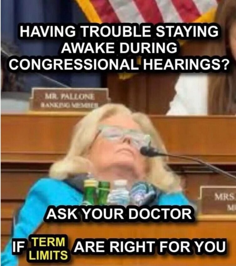 Term Limits - meme
