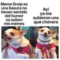Viva Meme Droip 