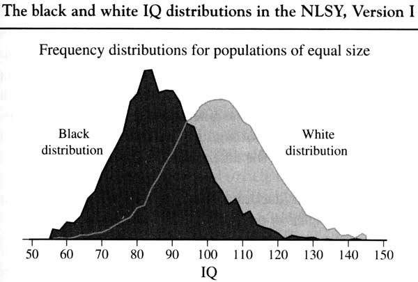 IQ Difference White vs Black - meme