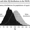 IQ Difference White vs Black