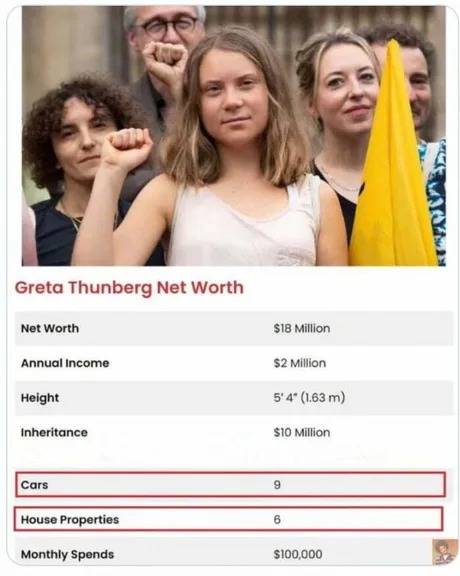 Greta Thunberg stonks - meme