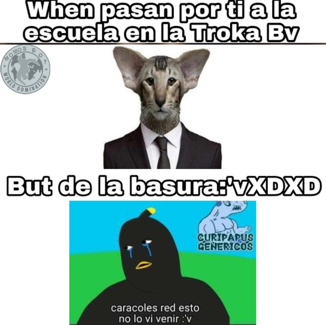 Yola - meme