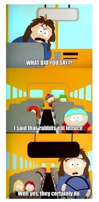 Bus - meme