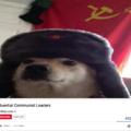 Stalin y su dogo