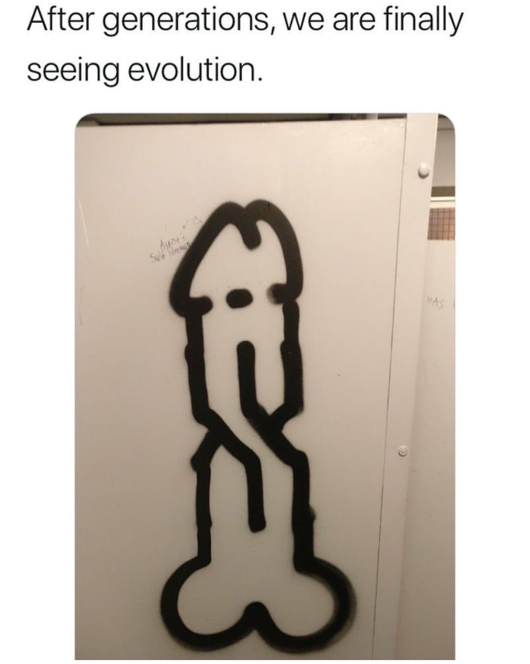 Evolution - meme