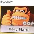 donkey kong is me