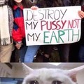 Poor pussy...