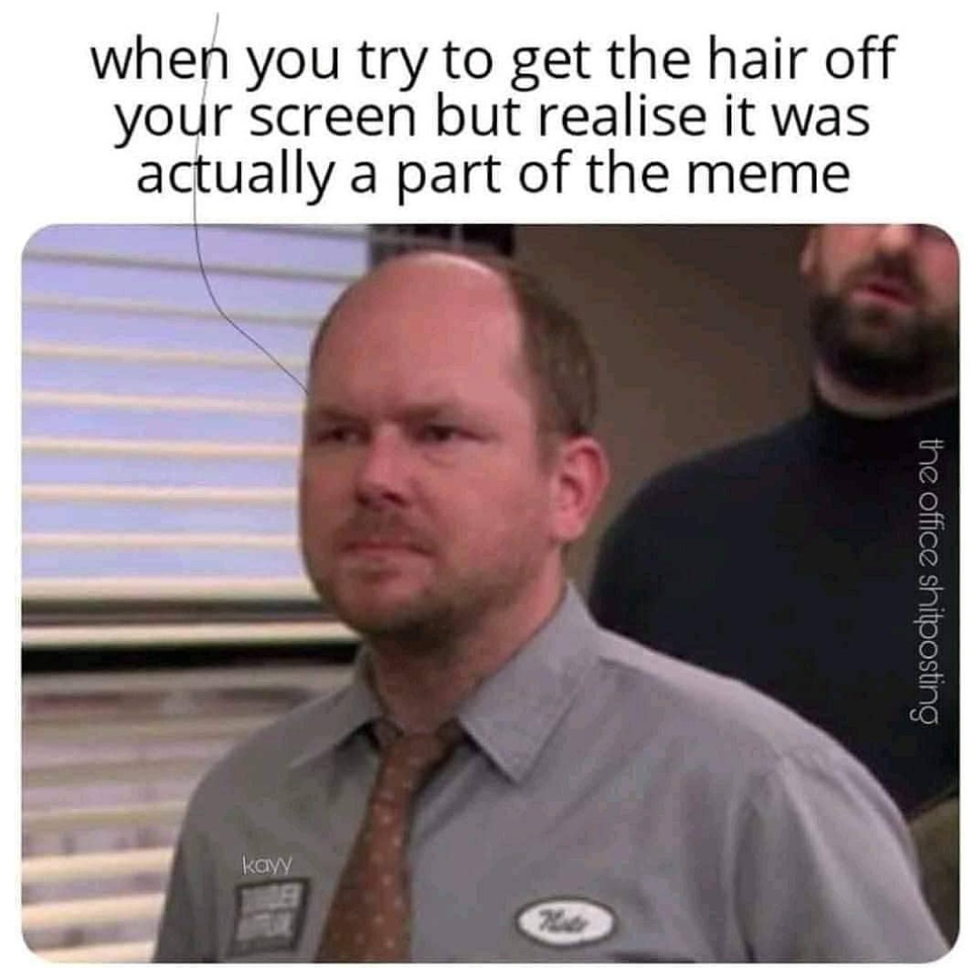 Hairfall - meme