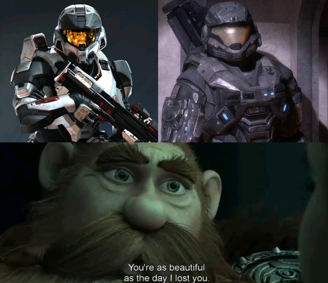 Halo is just beautiful - meme
