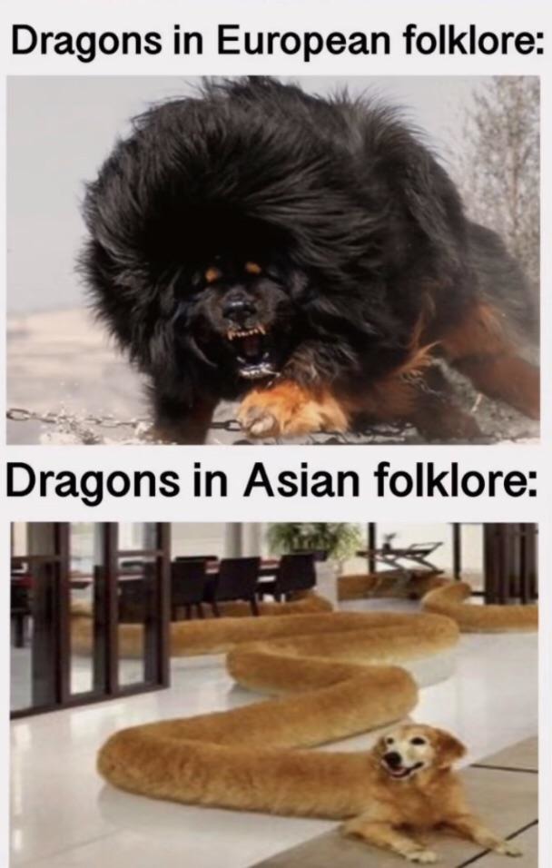 European vs Asian dragons - meme