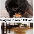 European vs Asian dragons