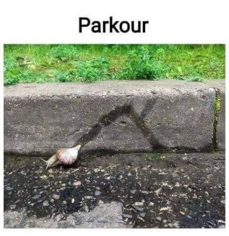 Hard-core parkour - meme