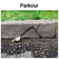 Hard-core parkour