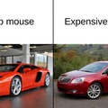 Cheap vs expensive mouse