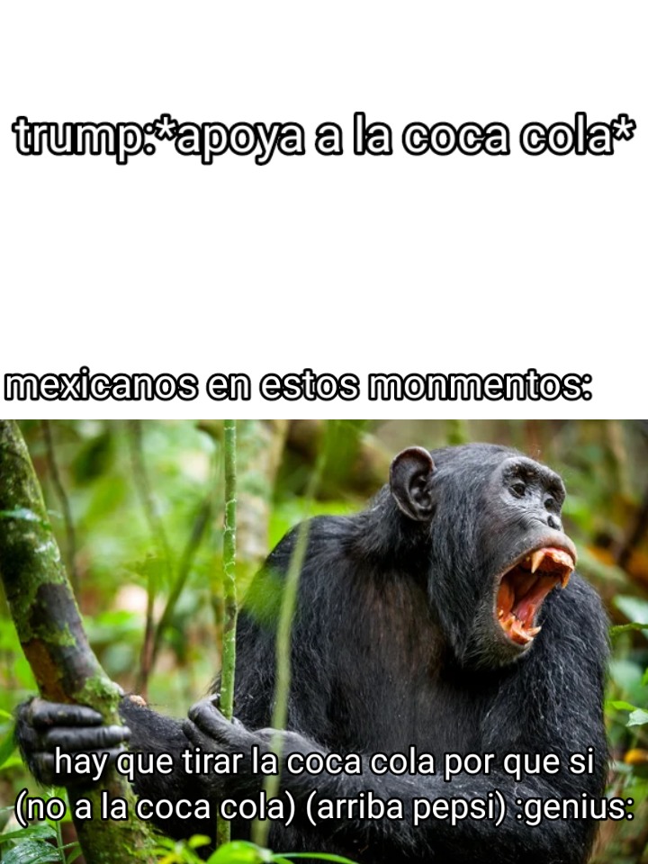 El titulo se fue a tirar coca cola por el baño - meme