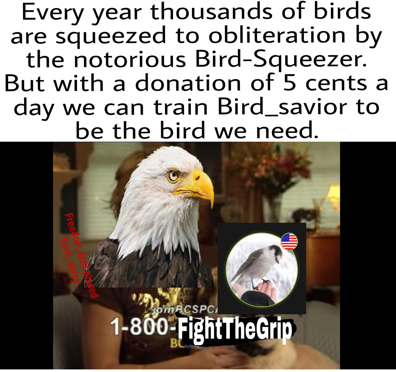 Bird_savior 2020 - meme