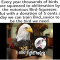 Bird_savior 2020