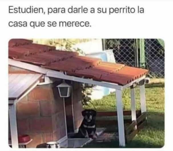 Yo en el futuro - meme