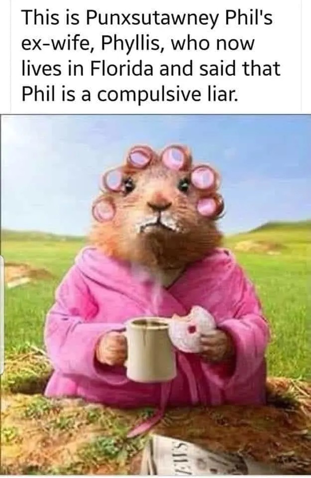 Punxsutawney Phil meme