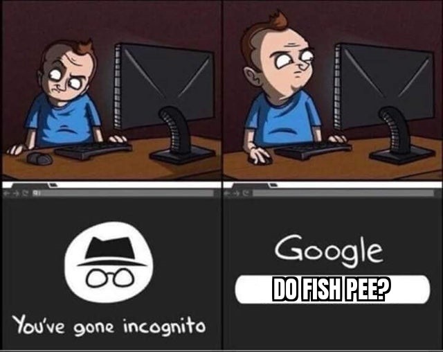 Inspector Google-it - meme