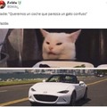 Mazda Smudge the cat