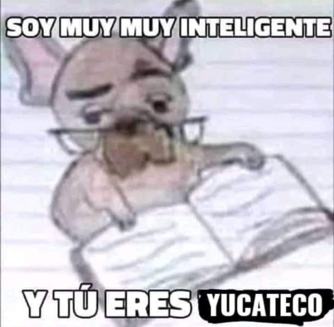 Yucateco - meme