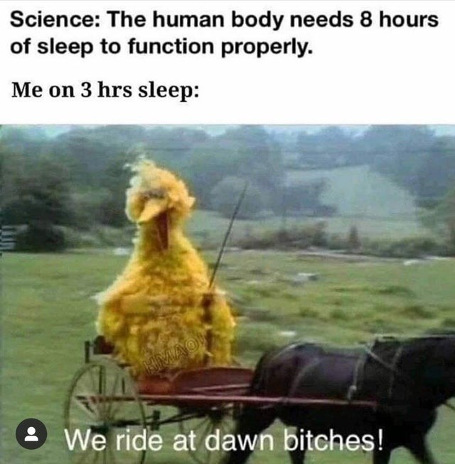 low hours of sleep - meme
