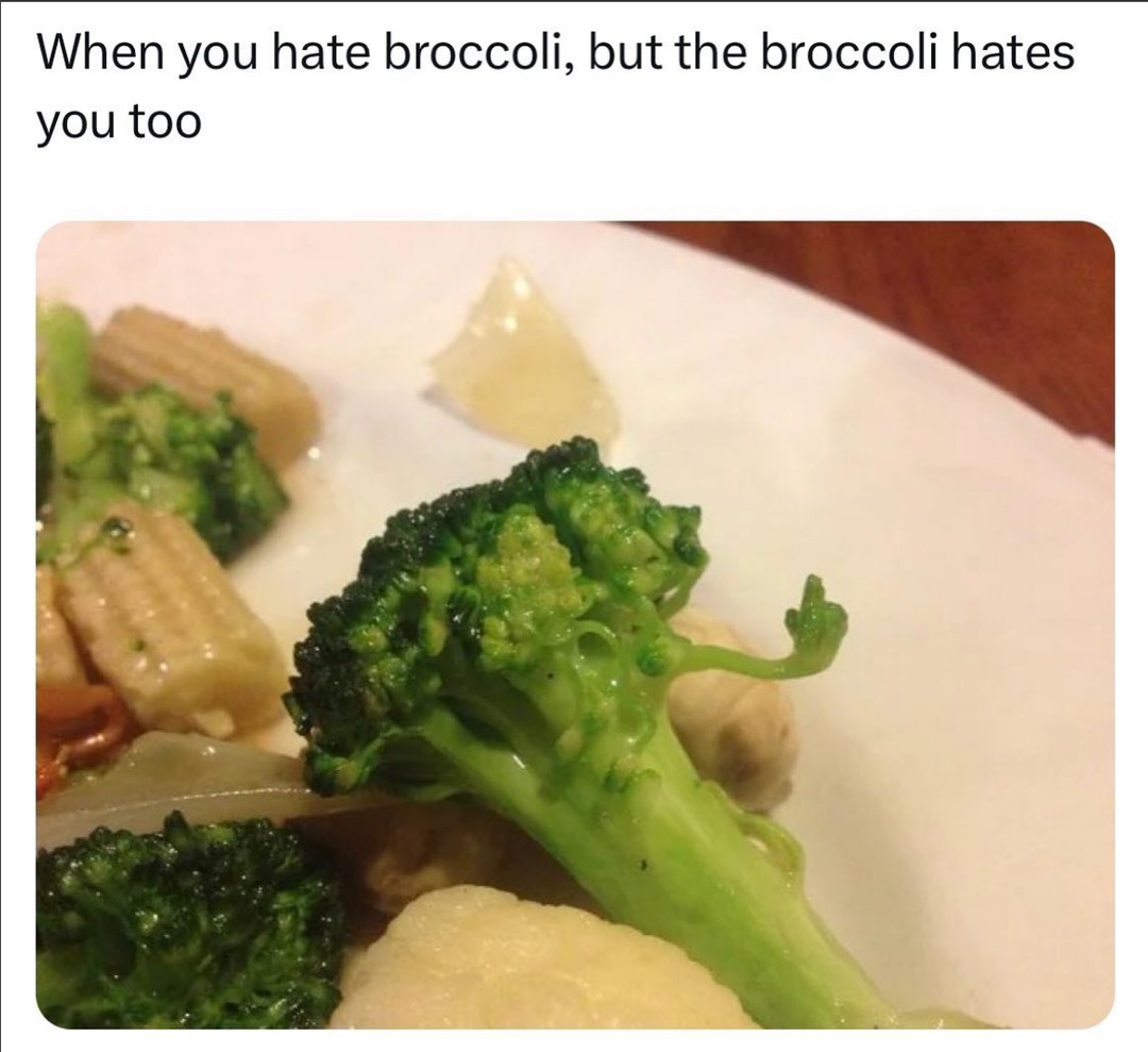 Broccoli: Let me tell you something - meme