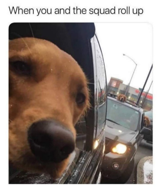 Idk what to put , help me find a title - meme