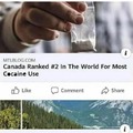 Canada and the nordic countries are known to be even greater in freedom in the US, and THey'Re SoCiALisT!