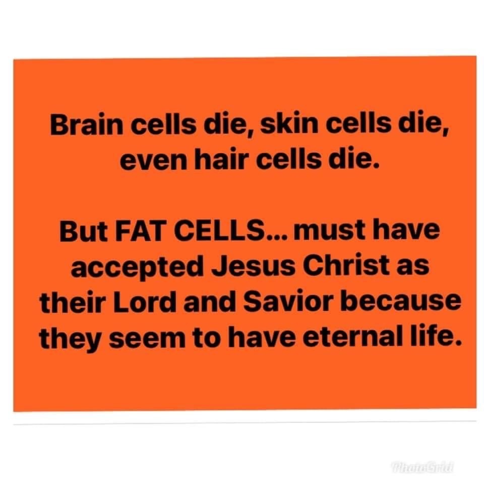 fat cells - meme