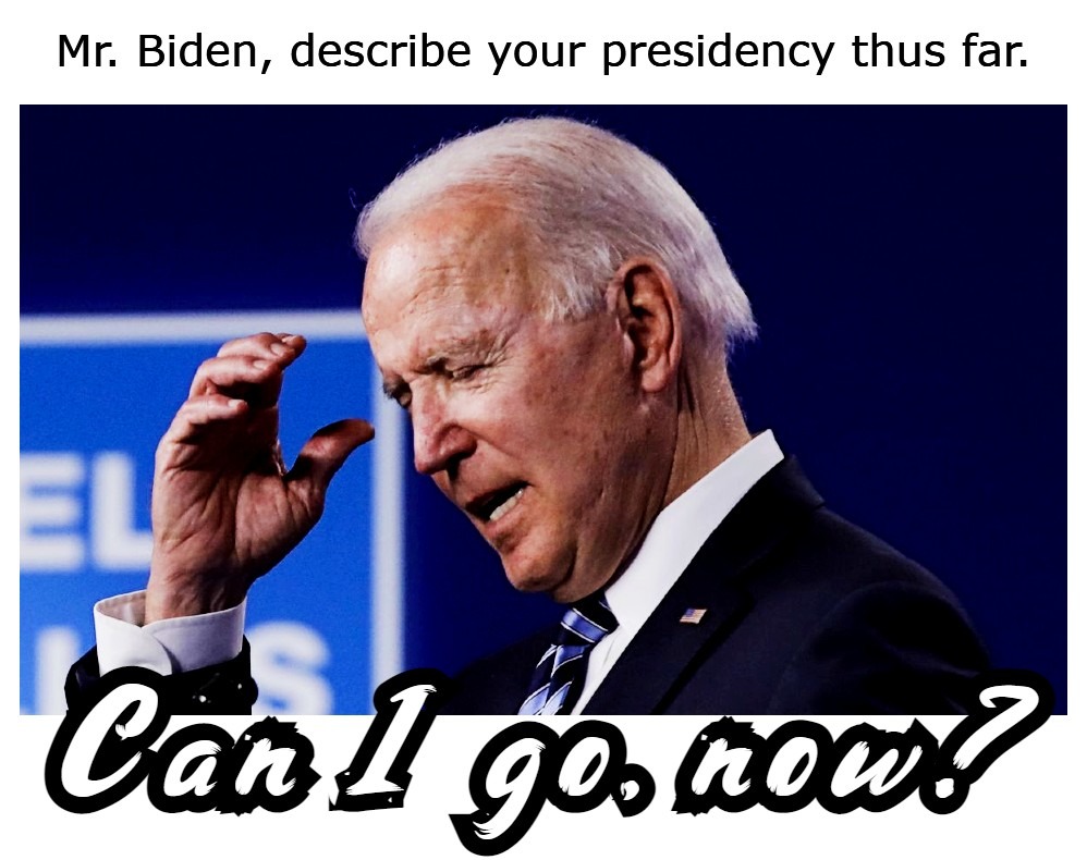 Biden's sad dementia makes him unfit for office. - meme