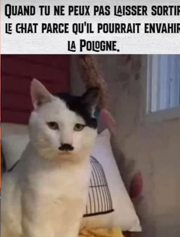 Je sais pas trop quoi dire  - meme