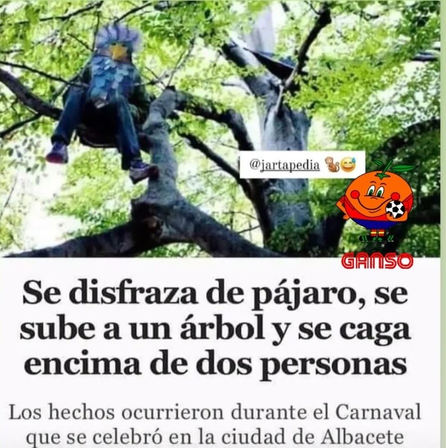 Noticia del momento - meme