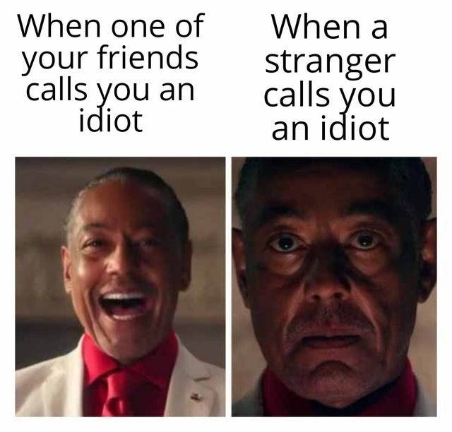 Friends calling you idiot - meme