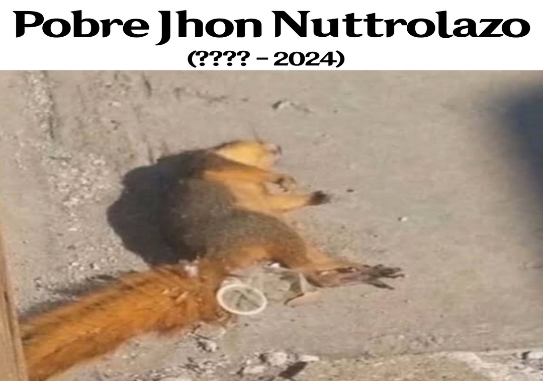 Pobre Jhon_nuttrolazo - meme