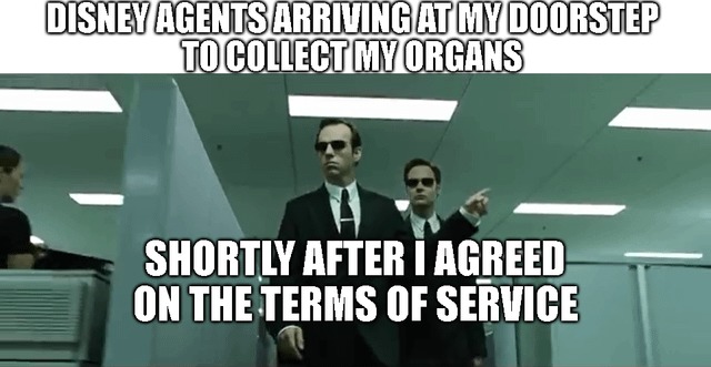 Disney terms of service meme