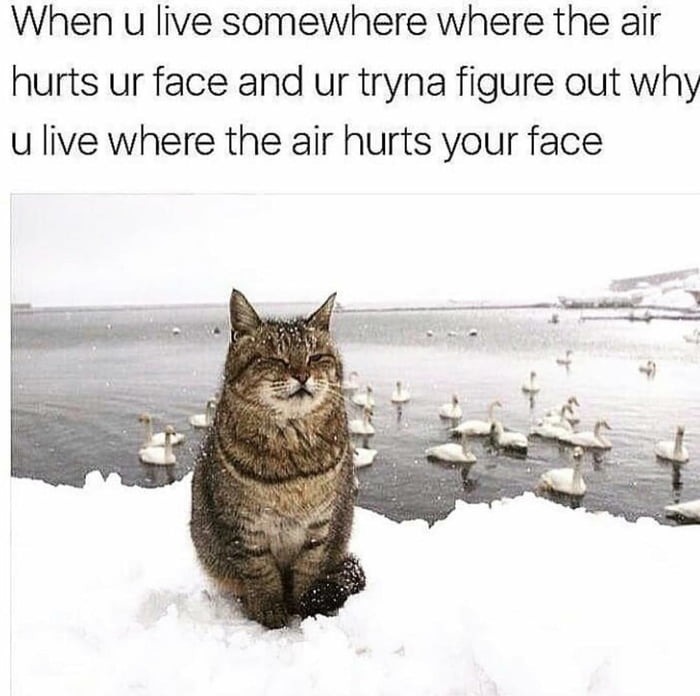 Better have air hurting your face than sun burning it and snakes and spiders hanging on your ankle - meme