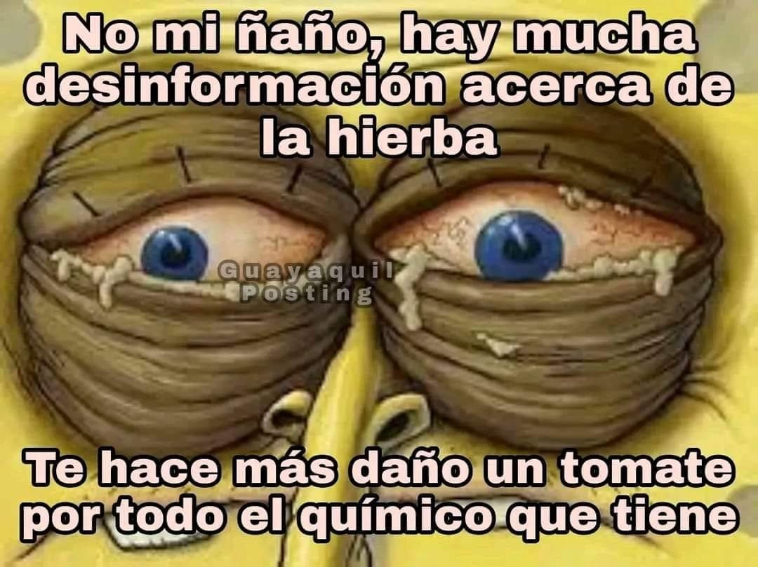 Como un yogurt - meme