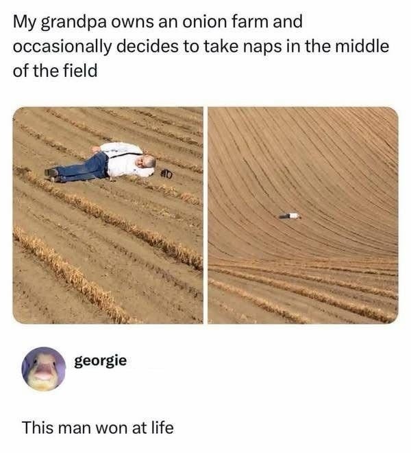 Onion - meme