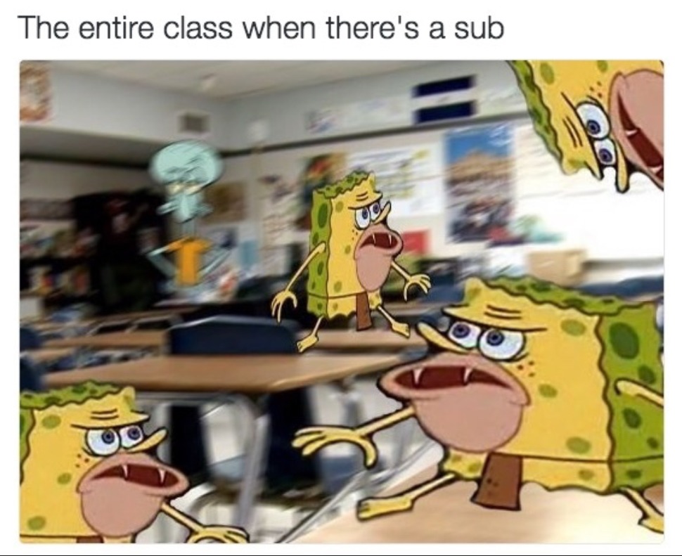Bro - meme