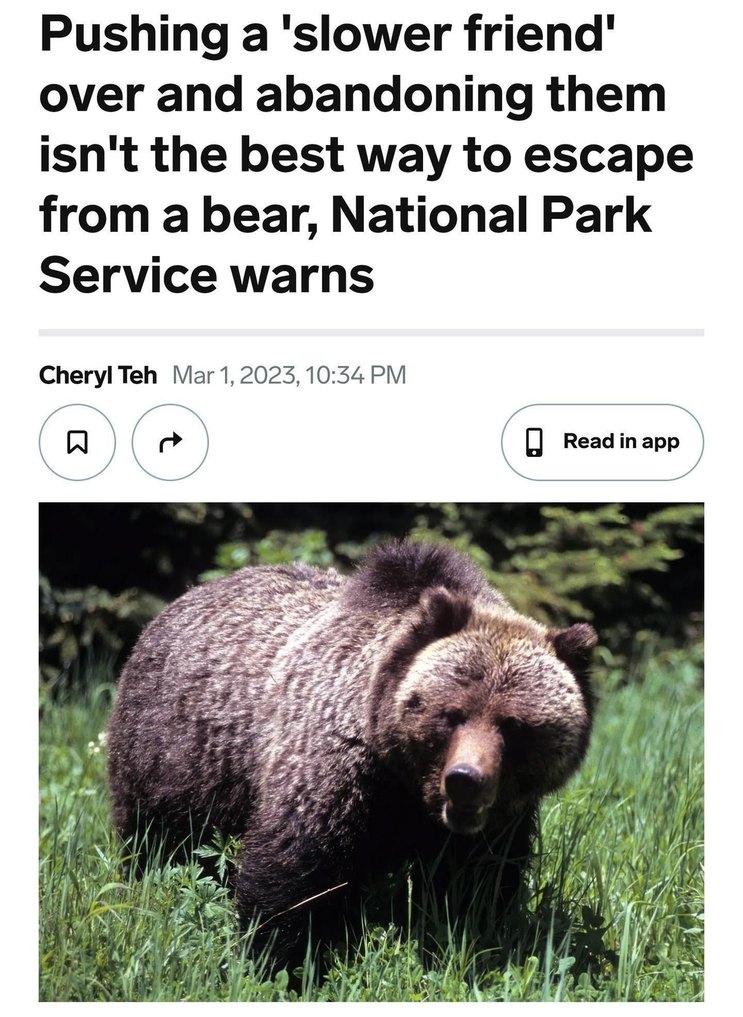 National Parks say don’t push your slow friend during bear attacks - meme