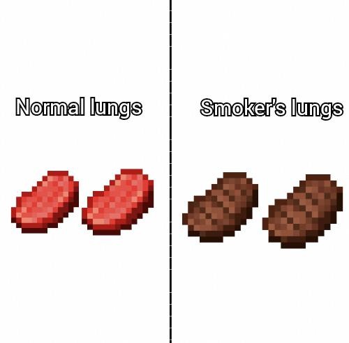 Normal lungs vs smoker lungs - meme