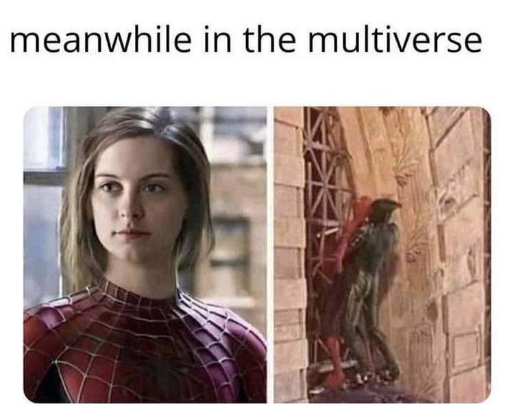 Meanwhile in the multiverse - meme