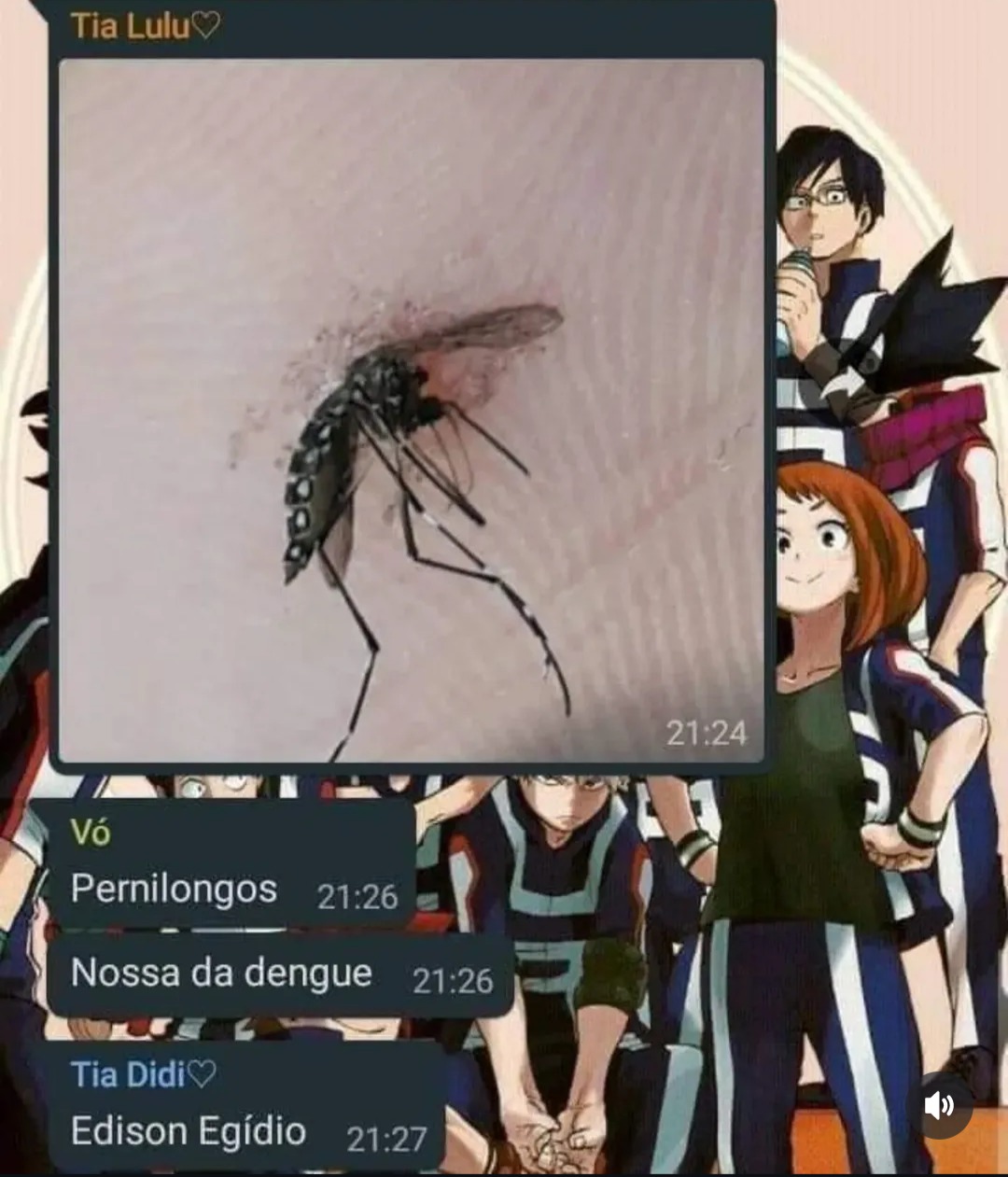 Veio no ZAP kkkkkkkkjj - meme